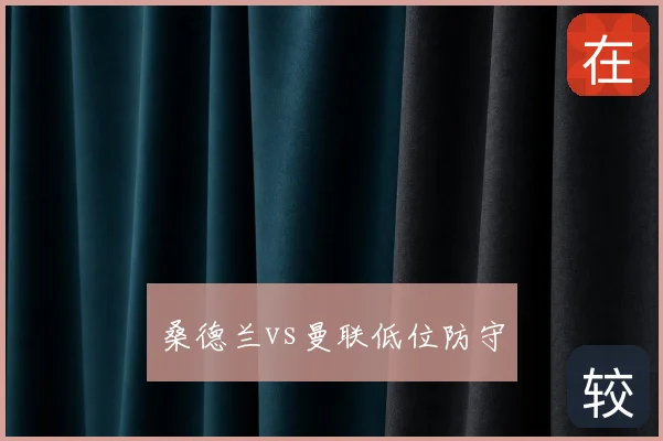 桑德兰vs曼联低位防守