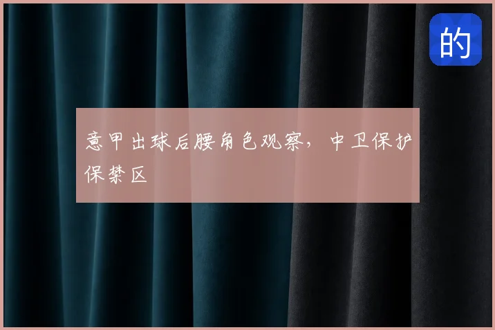 意甲出球后腰角色观察,中卫保护保禁区